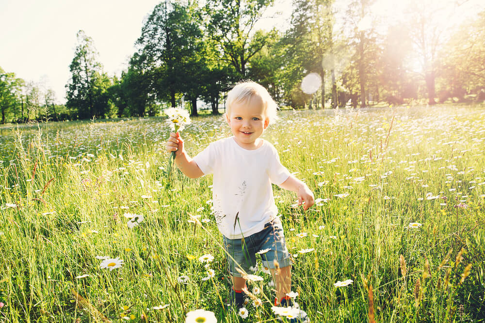 laptopmockup_sliderdy